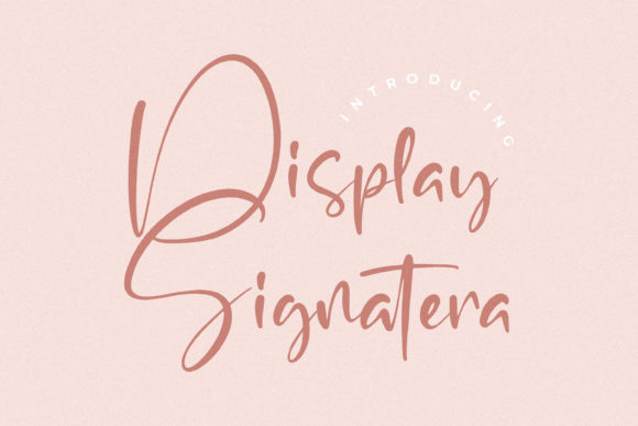 Display Signatera: A Premium Script Handwritten Font for Branding